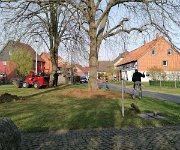 2025-04-11 - Arbeitseinsatz Thie- und Kirchplatz (02)